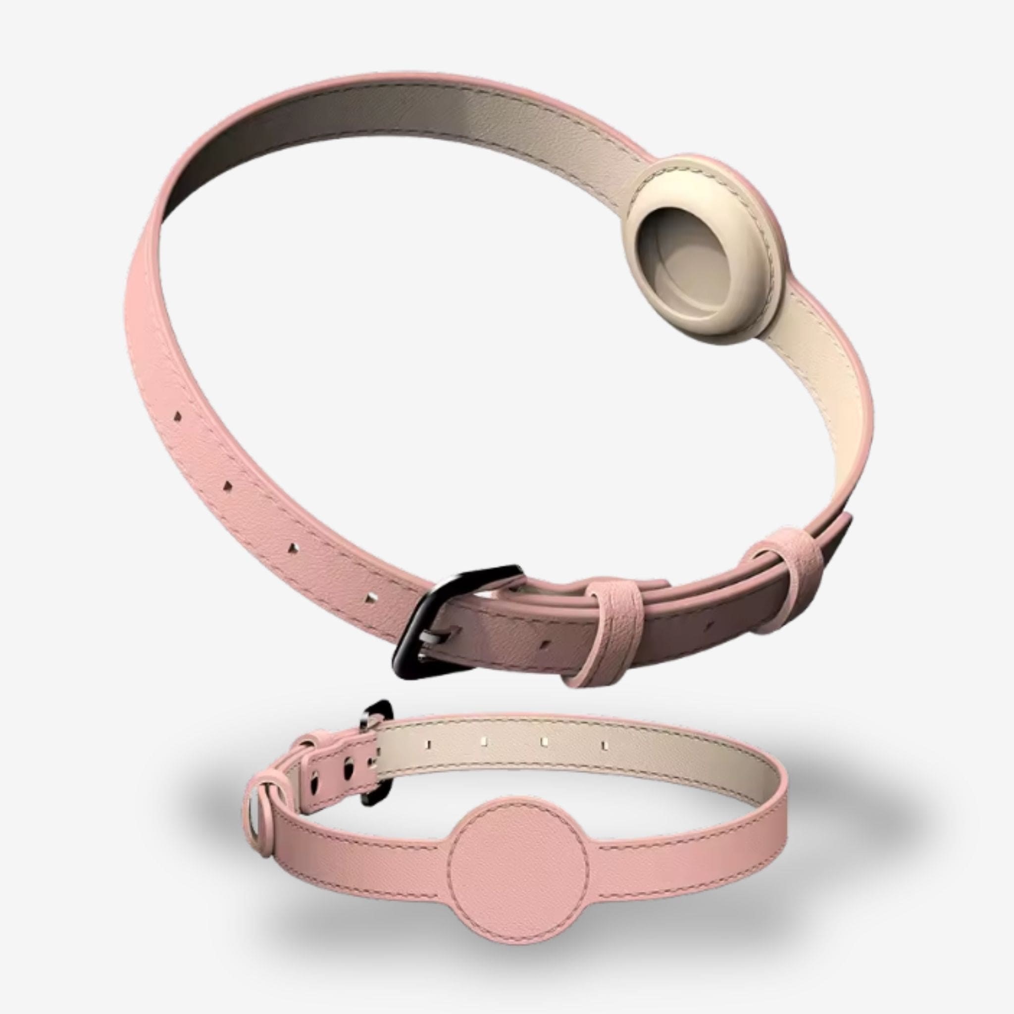 collier pour chien avec gps