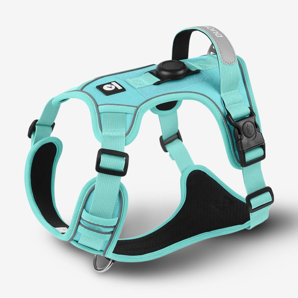 collier-chien-airtag