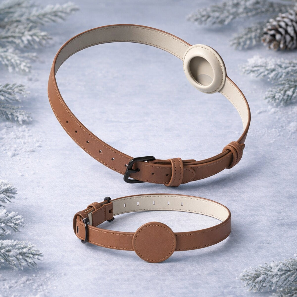 collier chien traceur