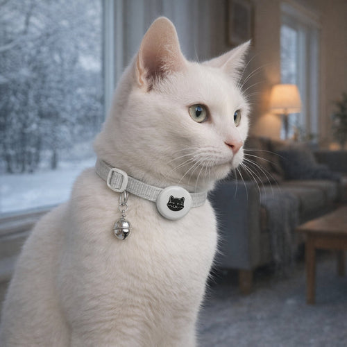 collier gps chat anti etranglement