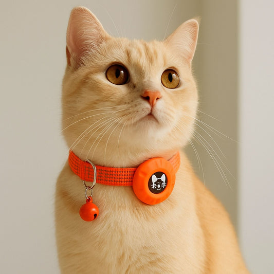 Collier GPS Chat <br> Design Orange Vif avec Clochette Métallique et Support Refermable