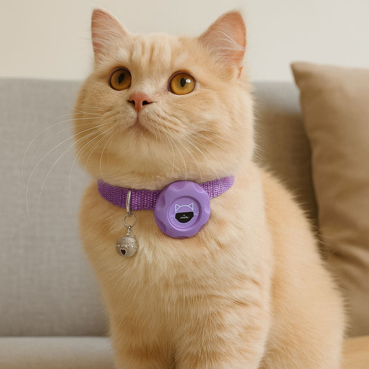 Collier GPS Chat <br> Look Violet Élégant avec Clochette Métallique et Support Refermable