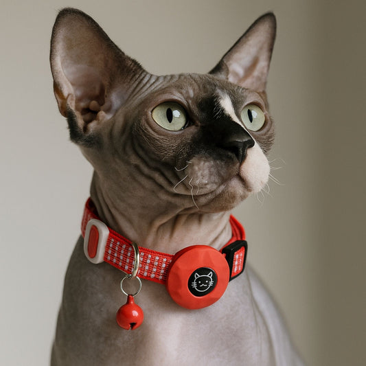 Collier GPS Chat <br> Rouge Intense et Clochette Métallique avec Support Refermable