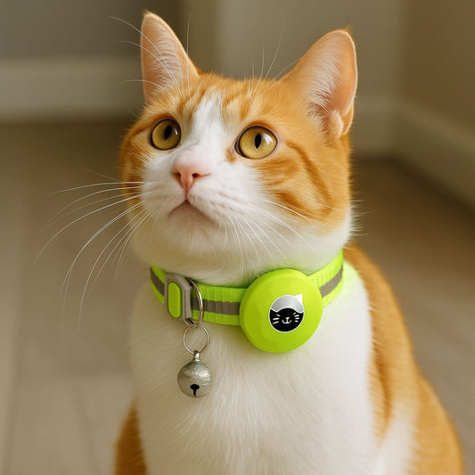 Collier GPS Chat <br> Vert Clair Réfléchissant pour Plus de Sécurité, Clochette Métallique et Support Refermable