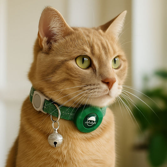 Collier GPS Chat <br> Vert Foncé Raffiné avec Clochette Métallique et Support Refermable