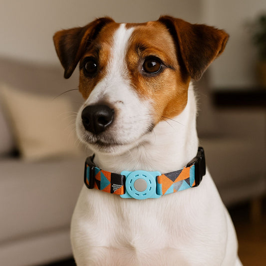 Collier GPS Chien <br> Bandes Tricolores Rouges et Bleu Clair sur Fond Marine