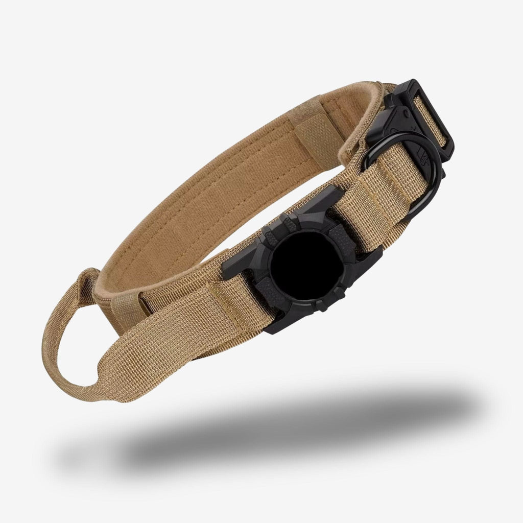 tracker gps chien