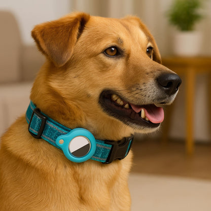 Collier GPS Chien <br> Bleu Classique, Épais et Rigide pour un Maintien Sûr