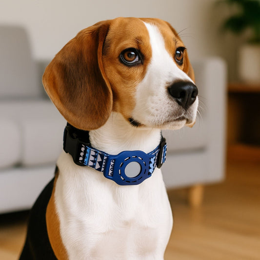 Collier GPS Chien <br> Bleu Marine avec Pictogrammes Clairs, Design Graphique Chic