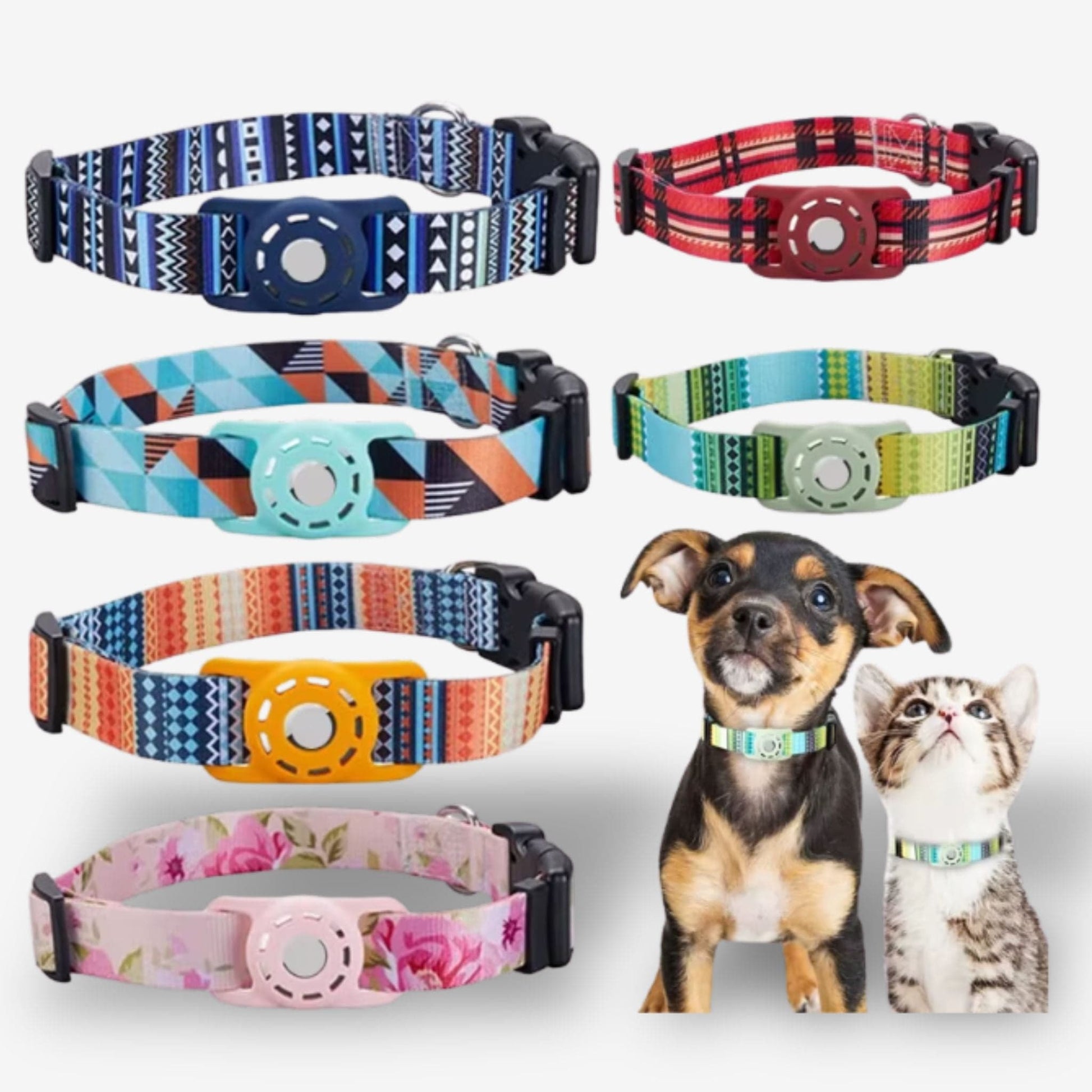 Collier GPS Chien <br> Dégradé de Teintes Vertes et Bleues Claires, Tendance Fraîche