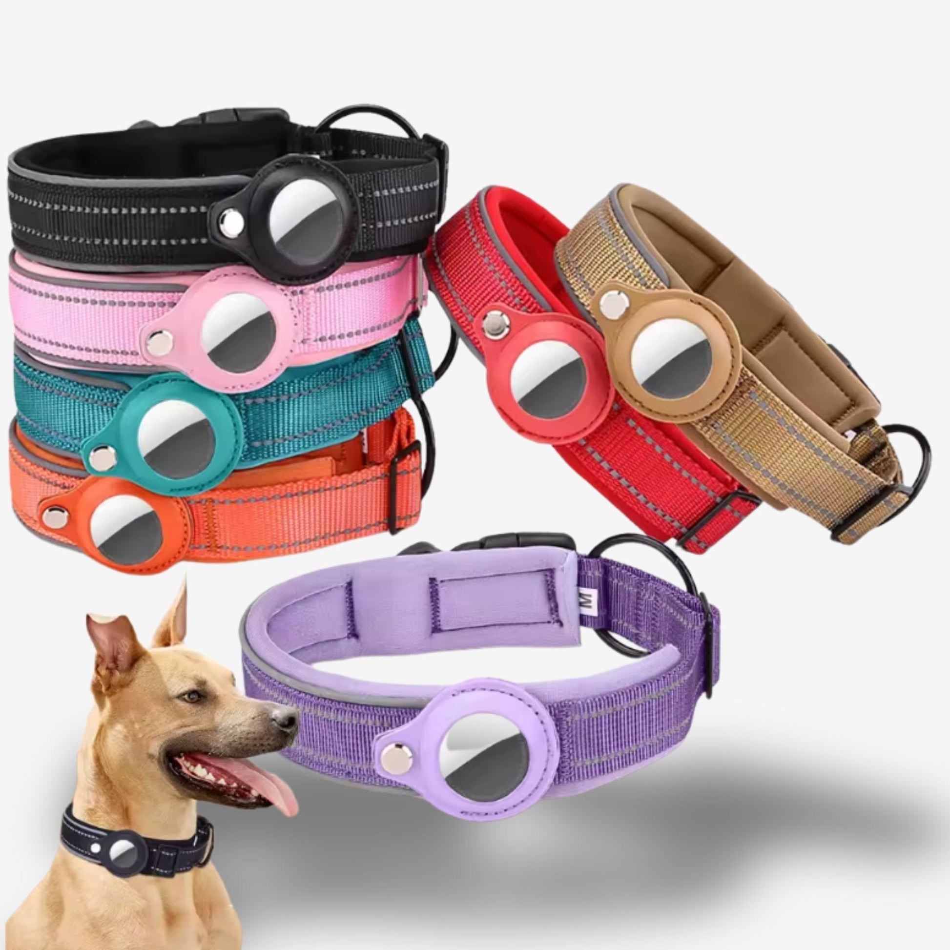 Collier GPS Chien <br> Design Beige Foncé Épais et Rigide pour un Maintien Optimal