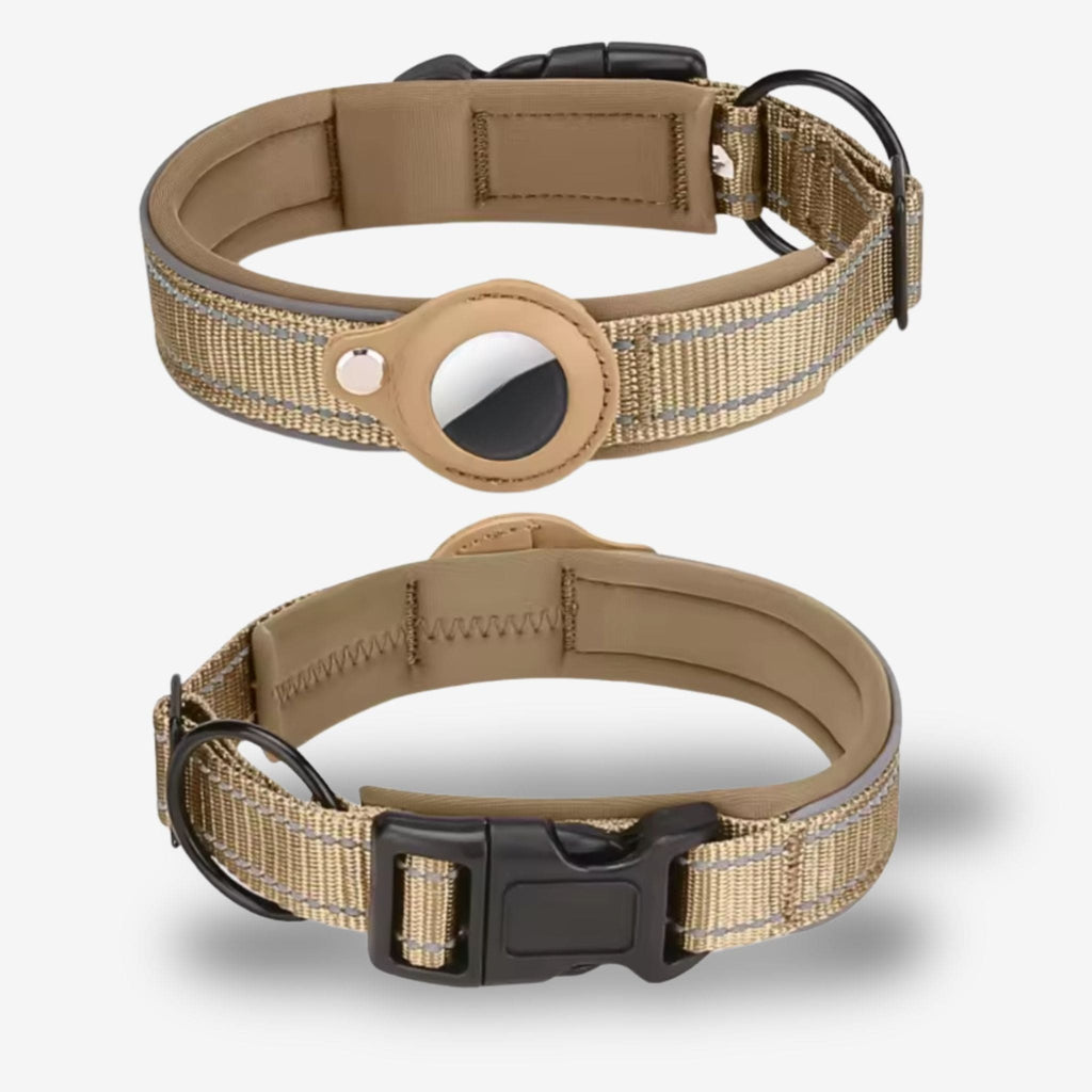 puce gps chien