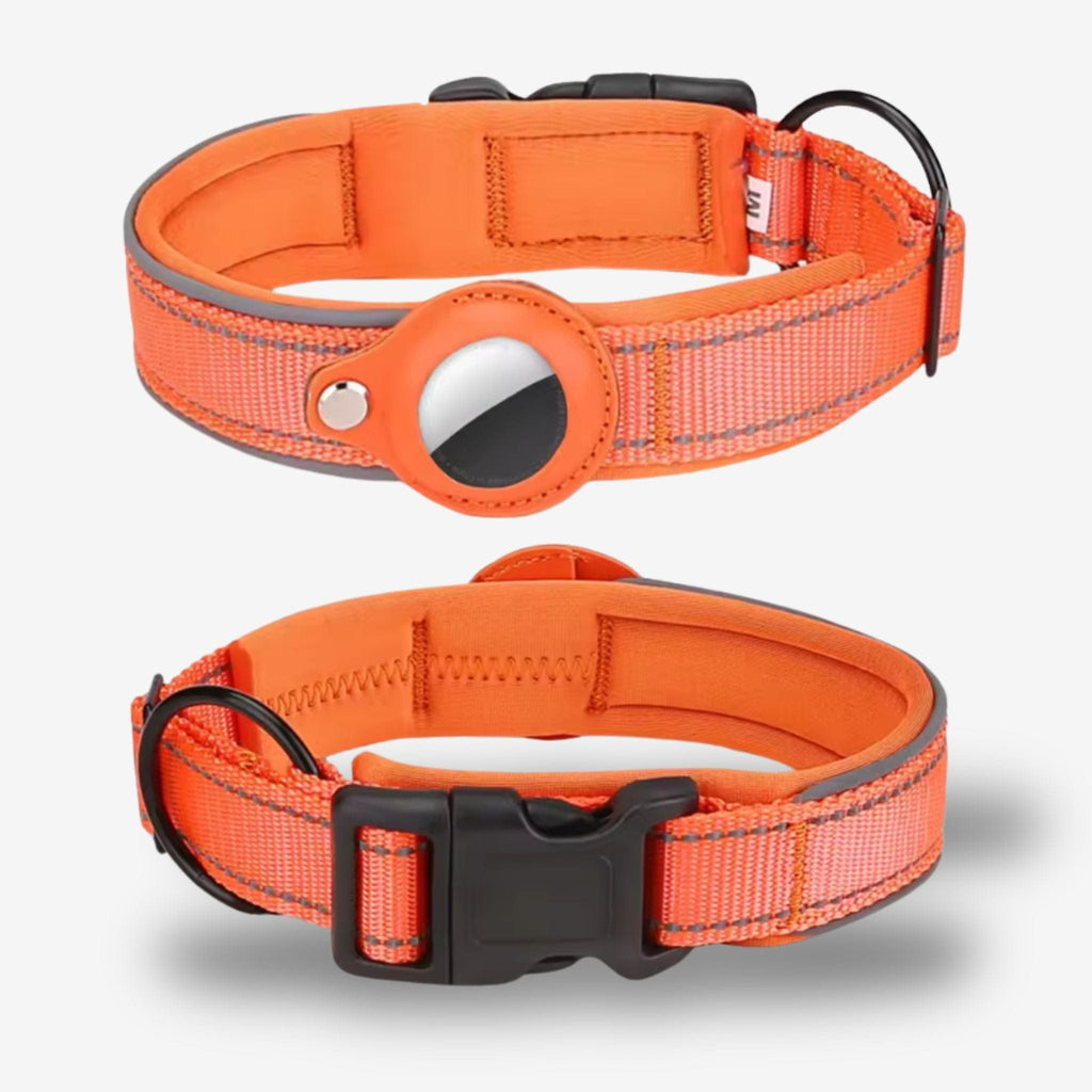 Collier GPS Chien <br> Orange Énergique, Épais et Parfait pour l’Aventure