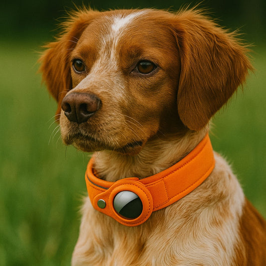 Collier GPS Chien <br> Orange Énergique, Épais et Parfait pour l’Aventure