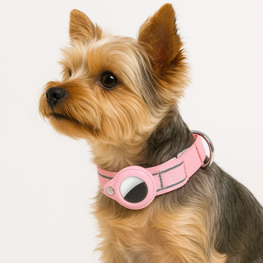 Collier GPS Chien <br> Rose Épais et Résistant, Allure et Protection