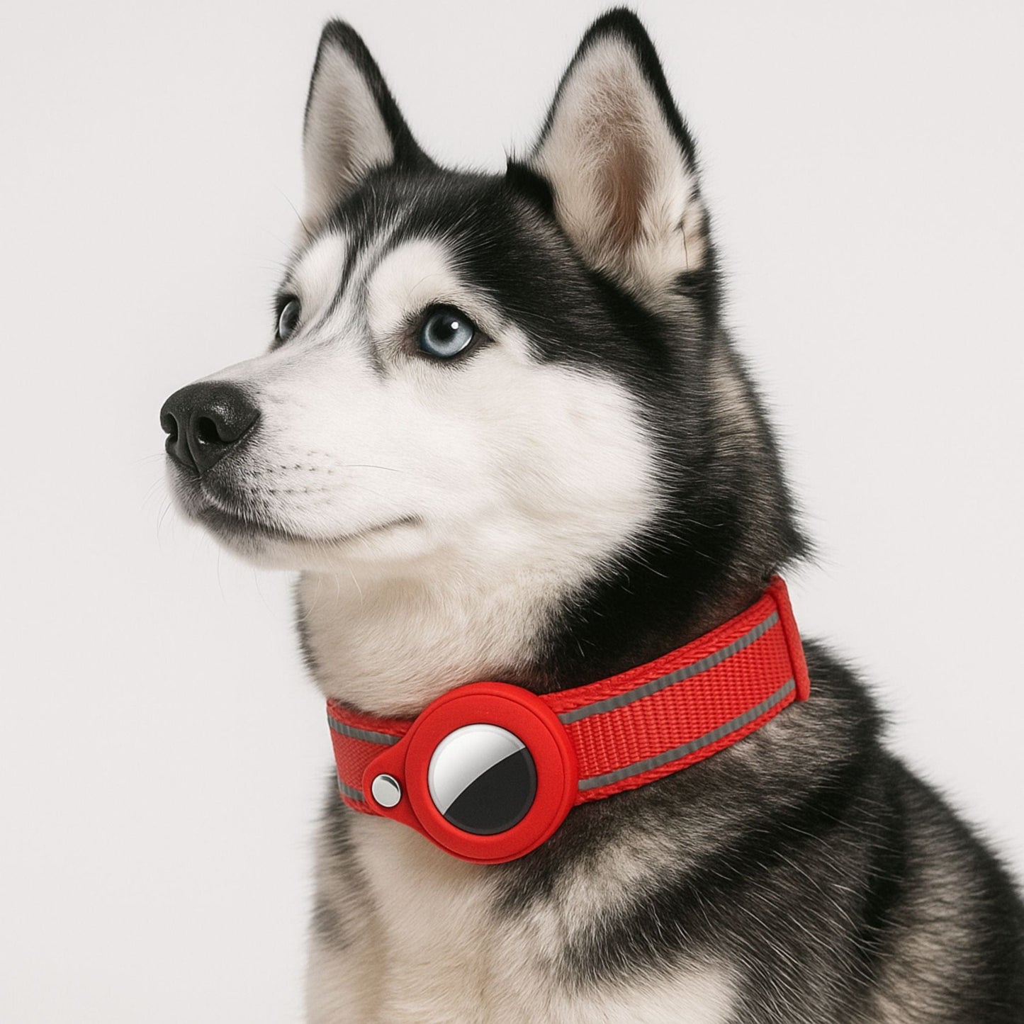 Collier GPS Chien <br> Rouge Puissant et Rigide, Design Classique et Durable