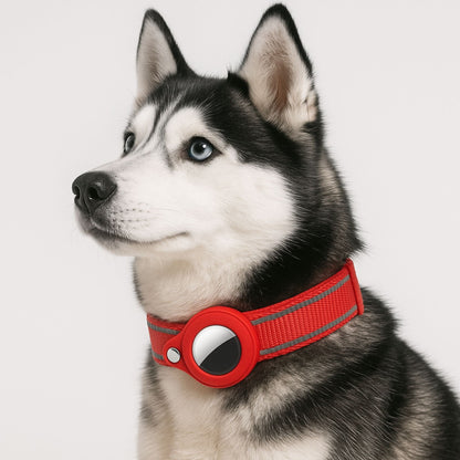 Collier GPS Chien <br> Rouge Puissant et Rigide, Design Classique et Durable