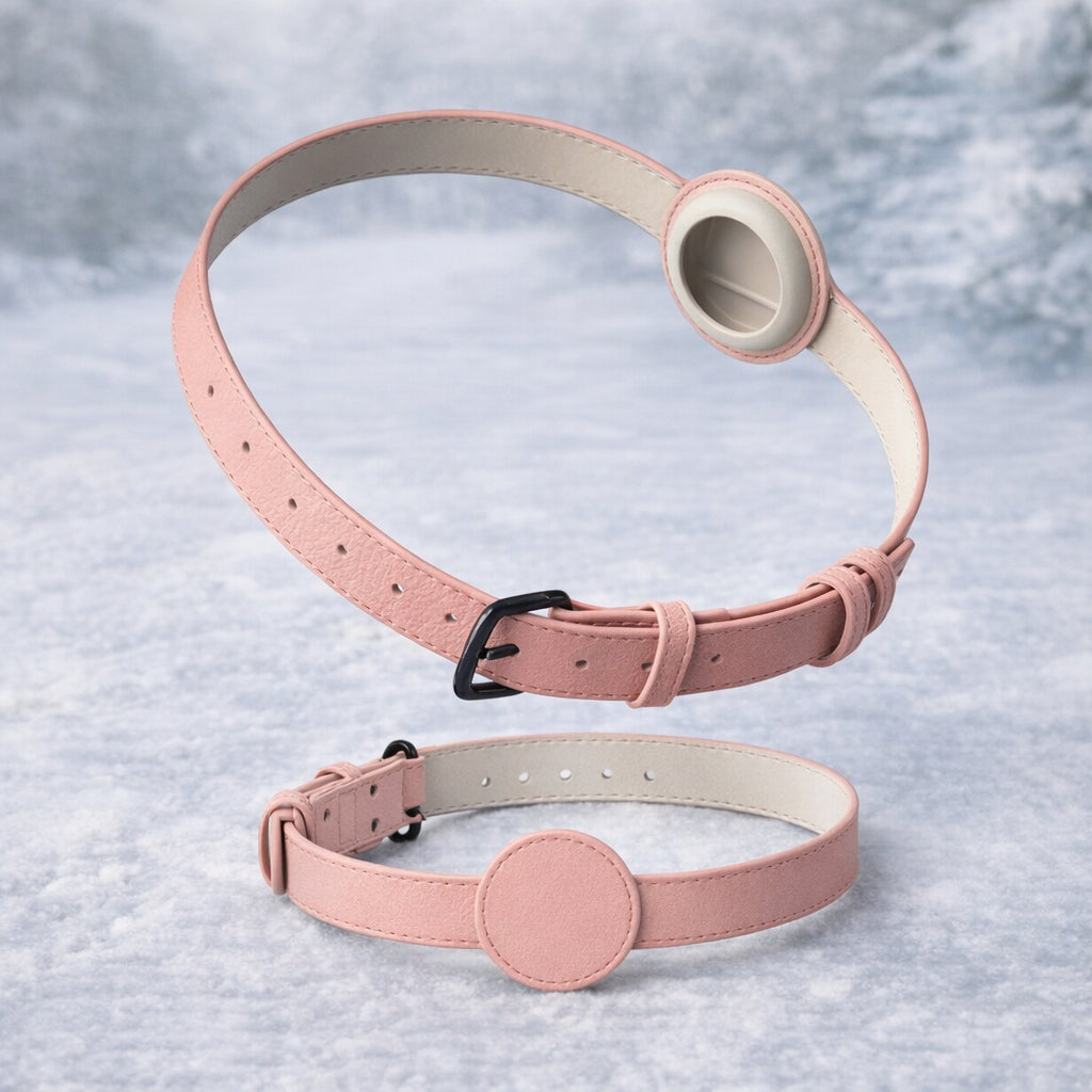 collier pour chien avec gps