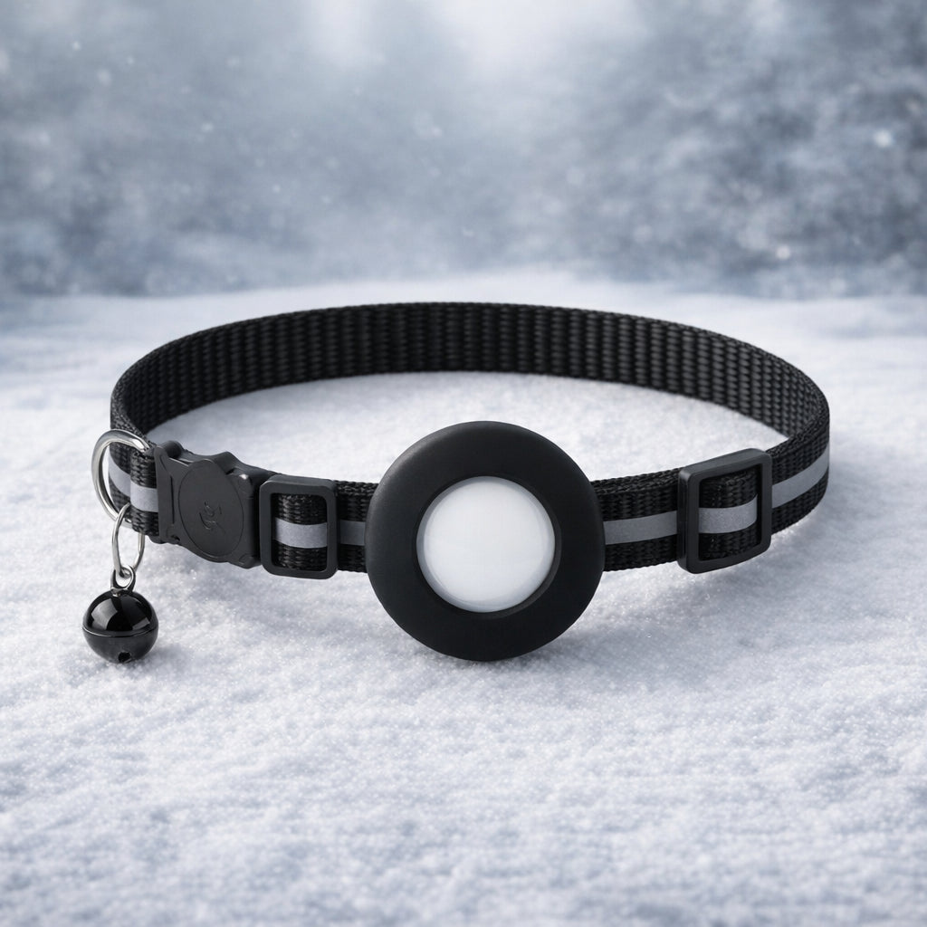 collier pour localiser chat