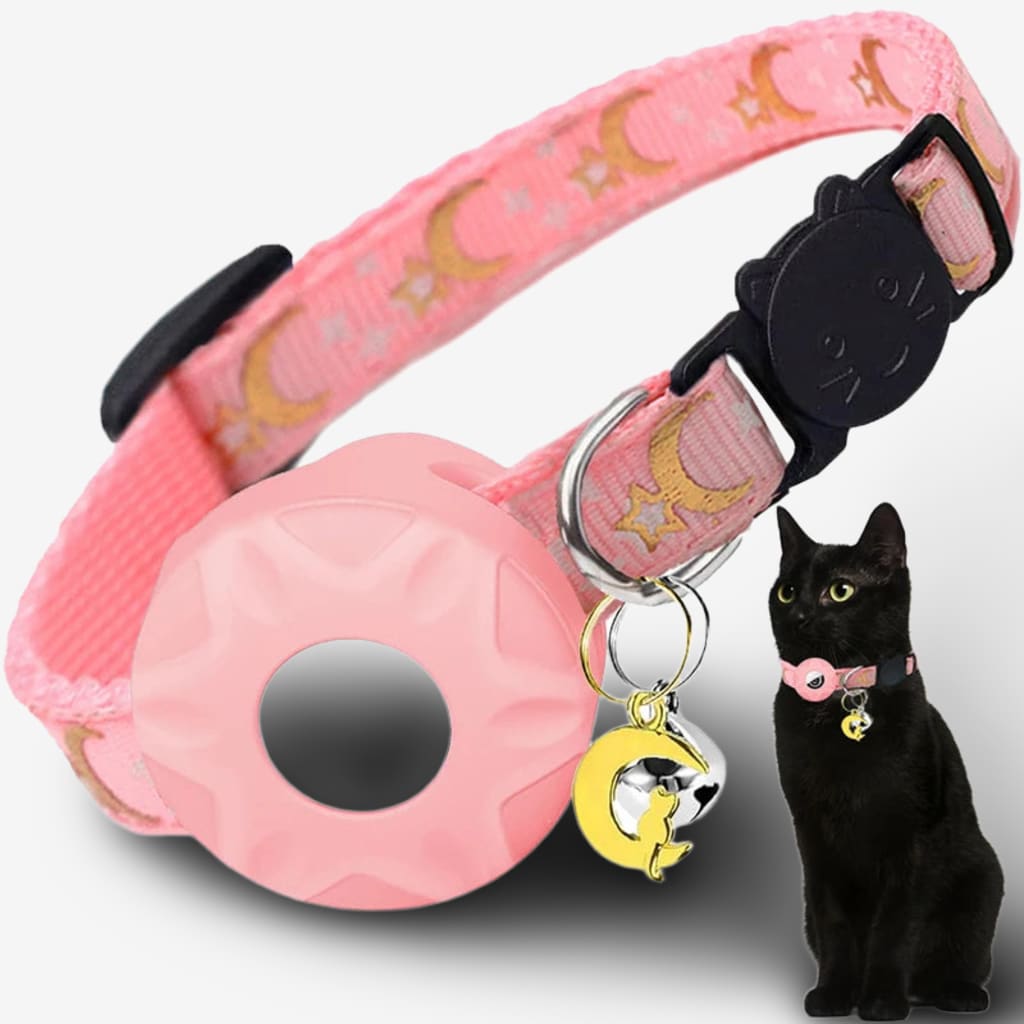 collier-chat-connecte