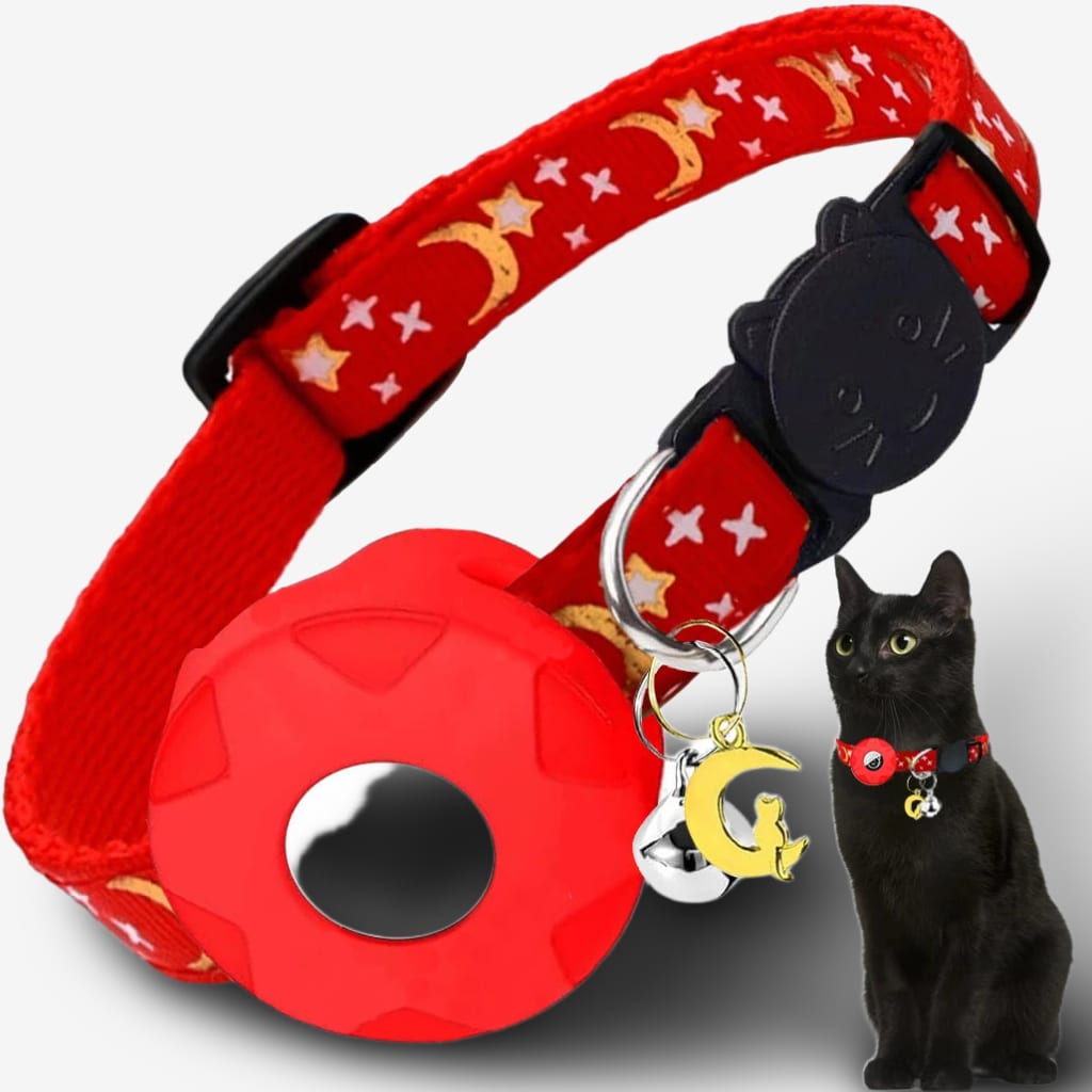collier-chat-connecte