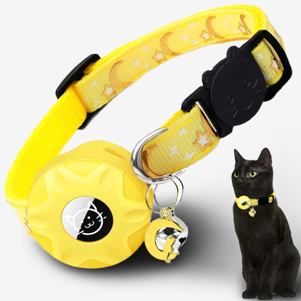 collier-chat-connecte