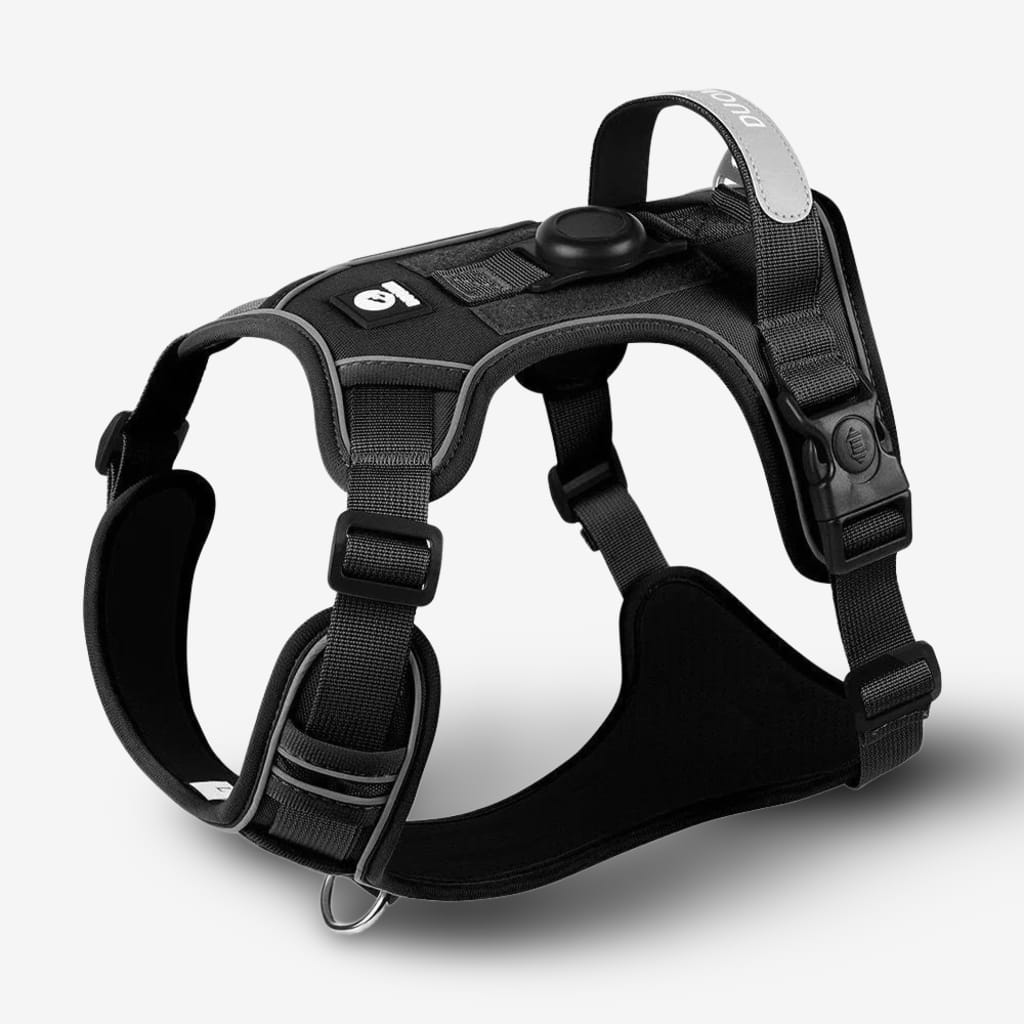 collier-chien-airtag