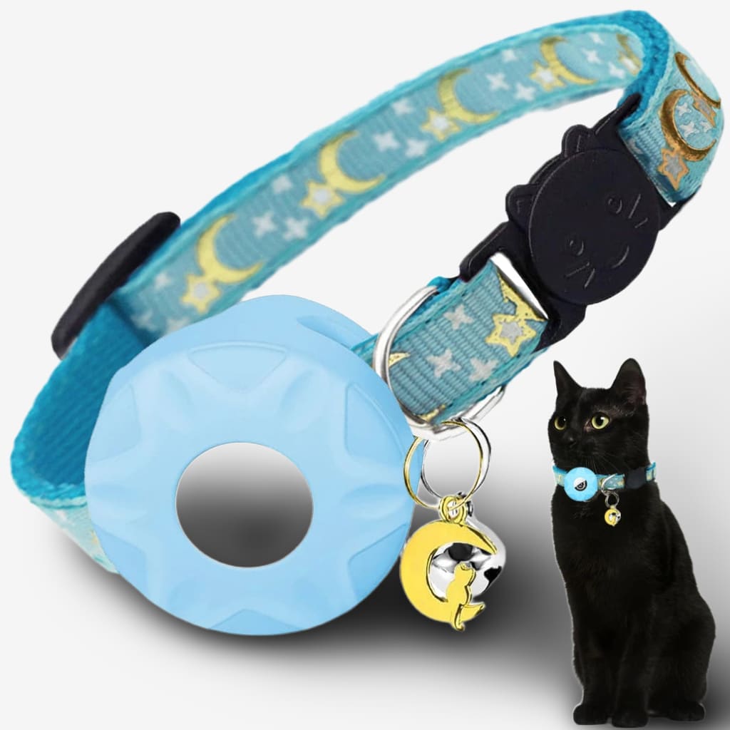 collier-chat-connecte