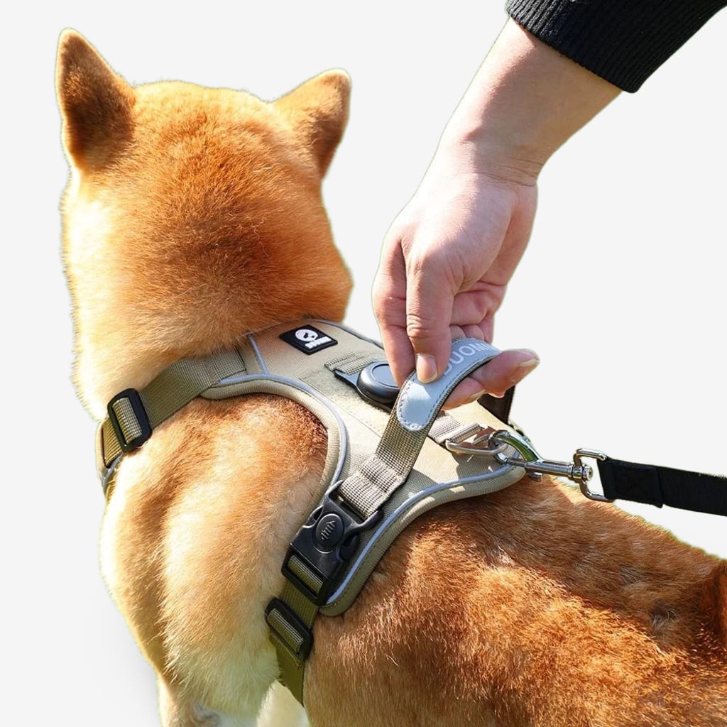 collier-chien-airtag