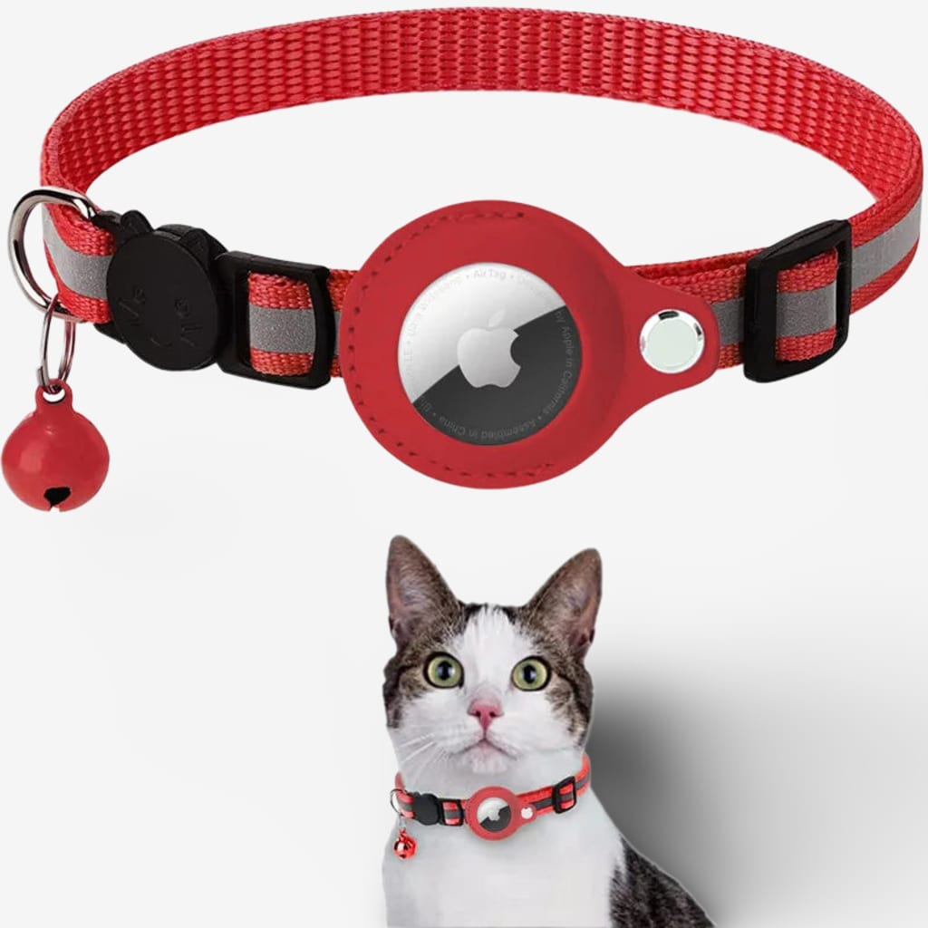 collier-gps-chat-anti-etranglement