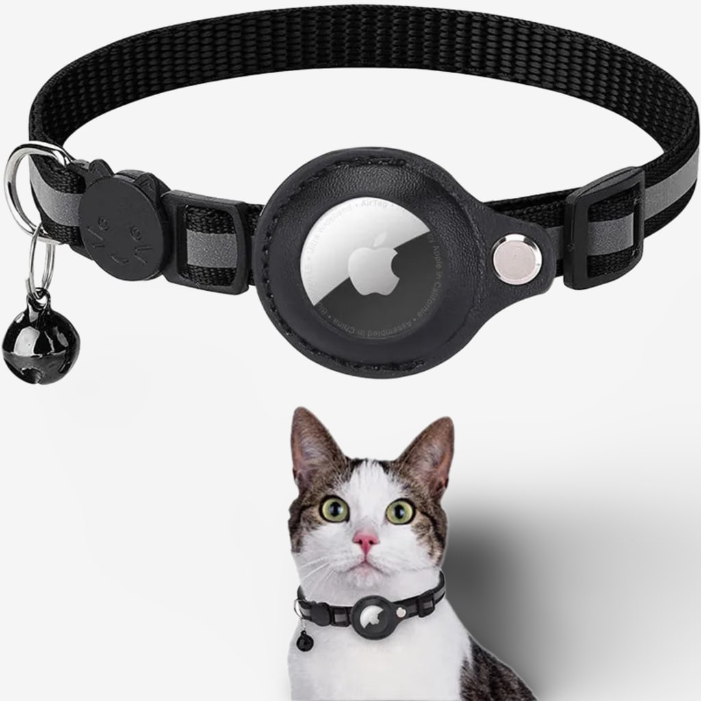 collier-gps-chat-anti-etranglement
