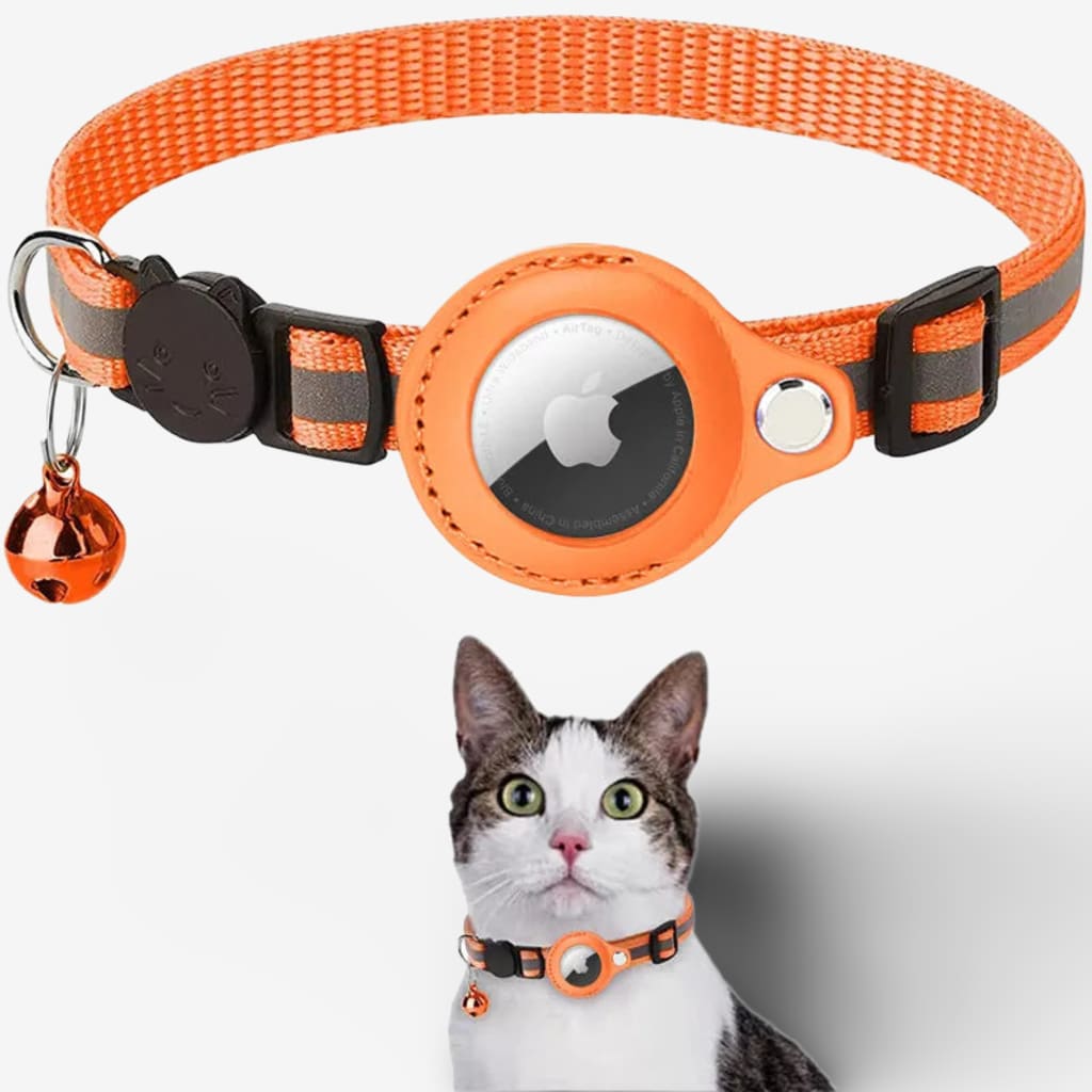 collier-gps-chat-anti-etranglement