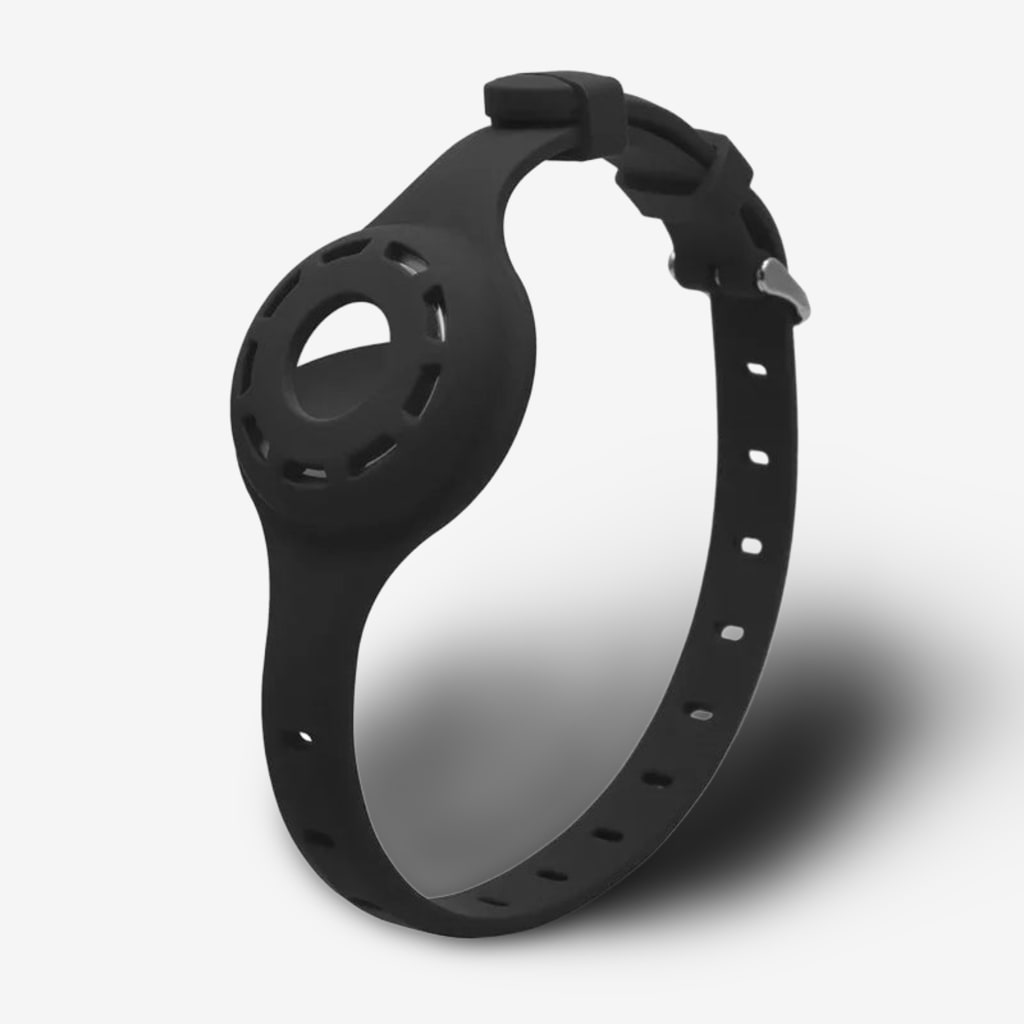 collier-pour-chien-avec-gps