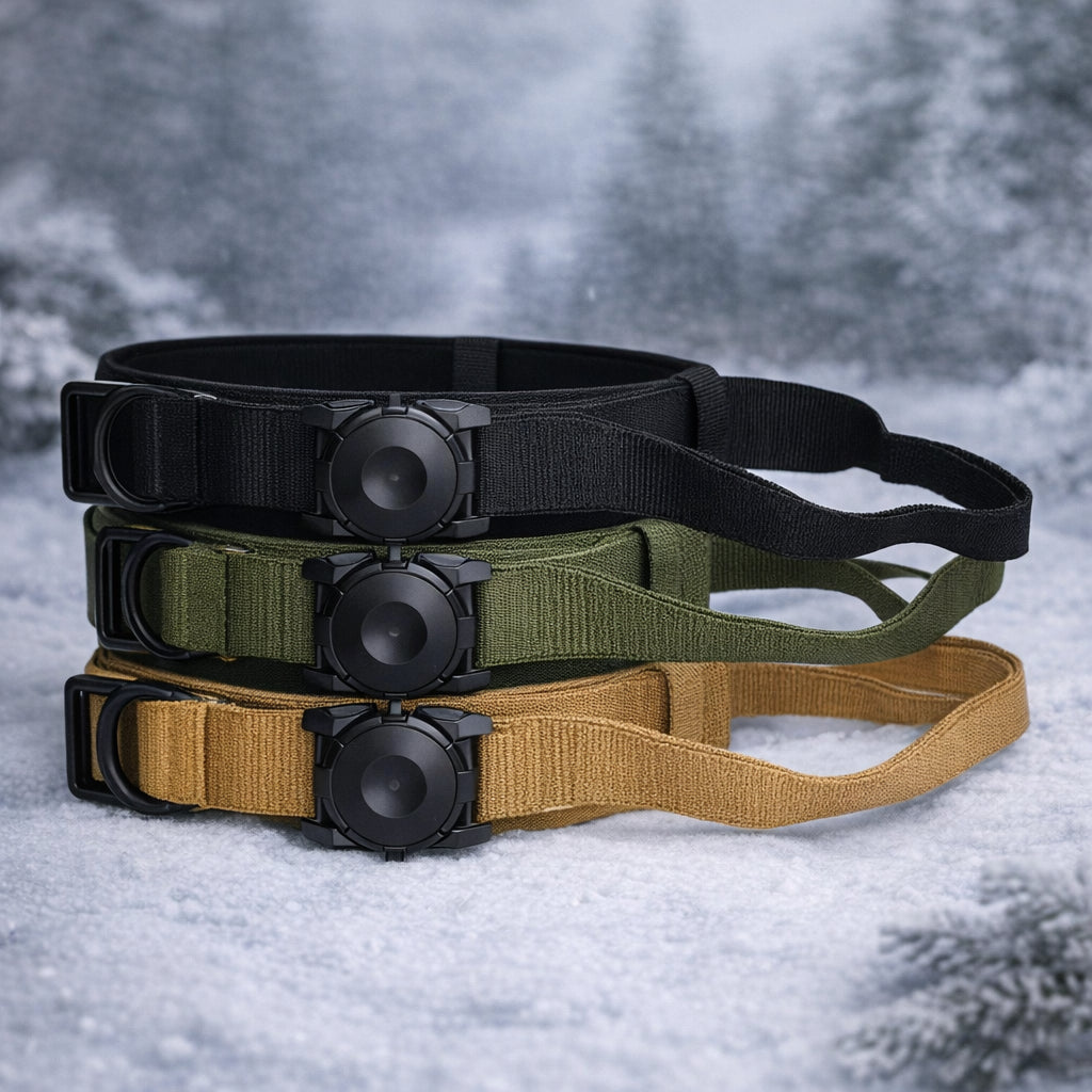 collier gps chien sans abonnement