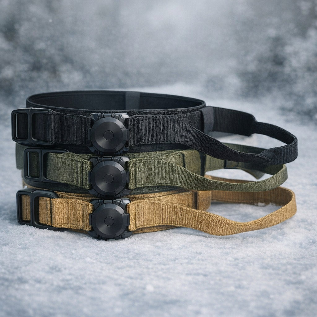 collier gps chien sans abonnement