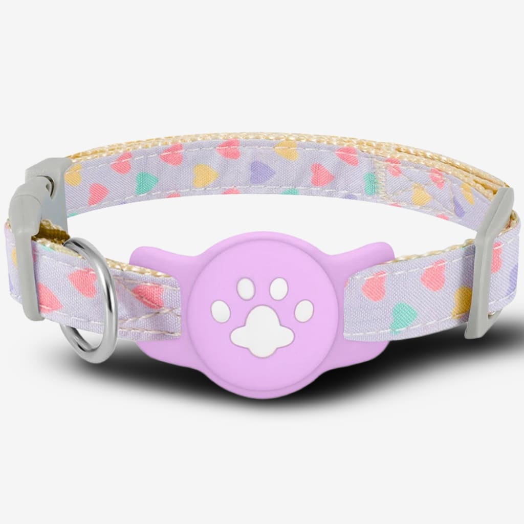 collier-gps-chien-sans-abonnement