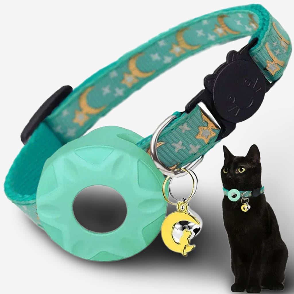 collier-chat-connecte