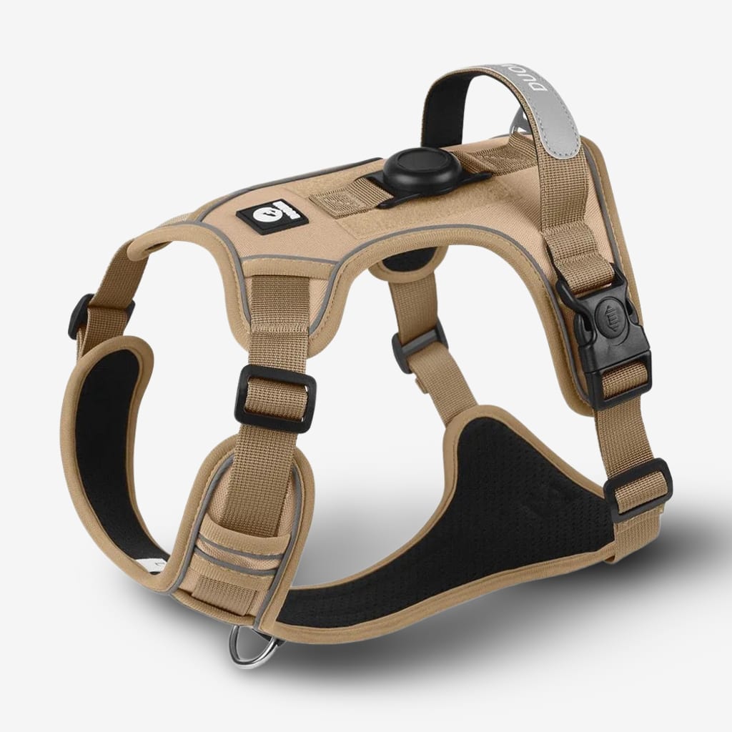 collier-chien-airtag