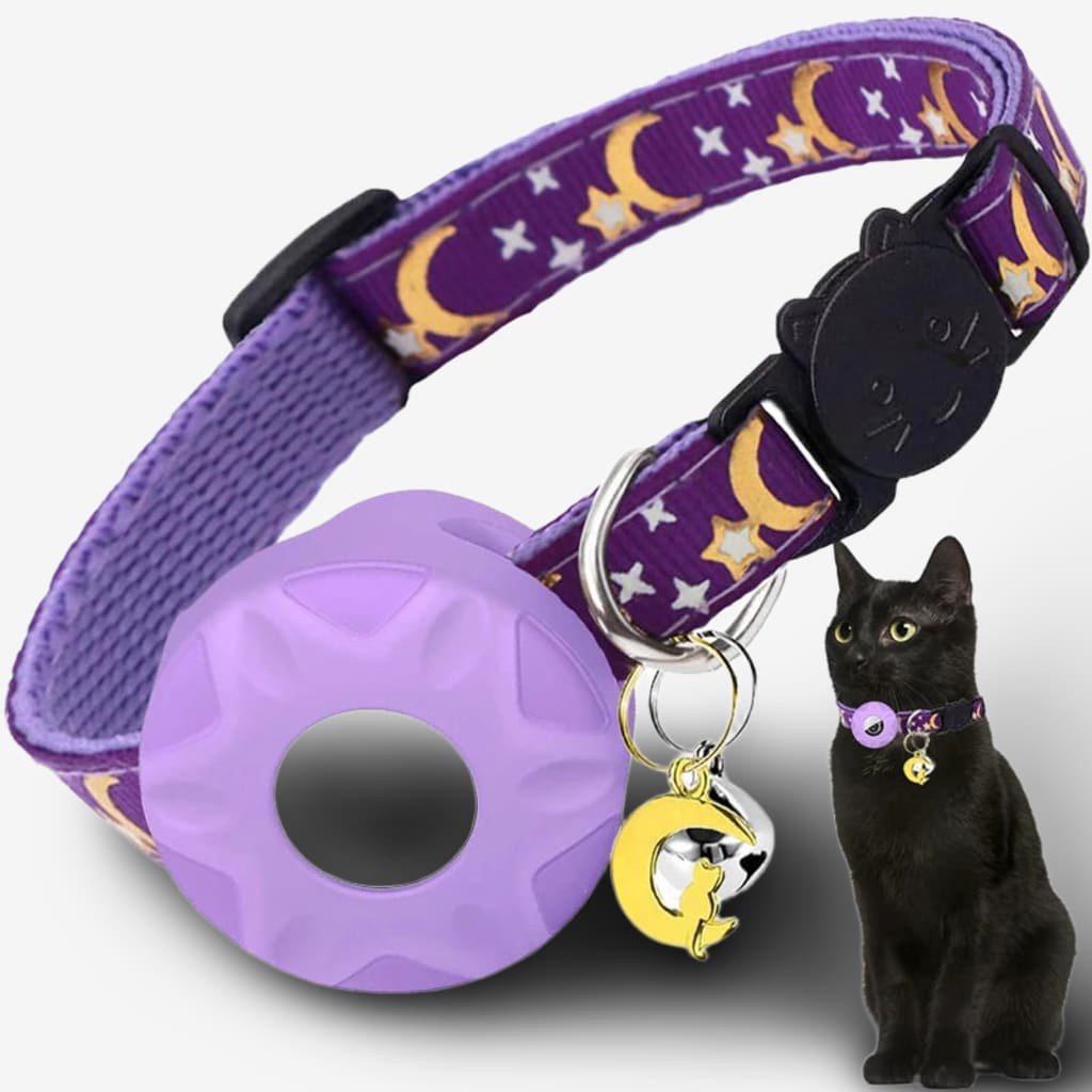 collier-chat-connecte