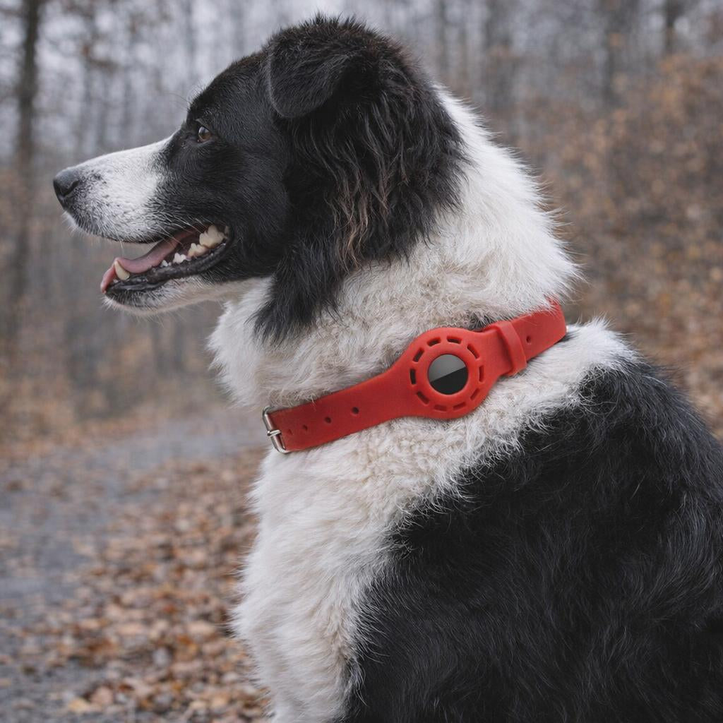 collier-pour-chien-avec-gps